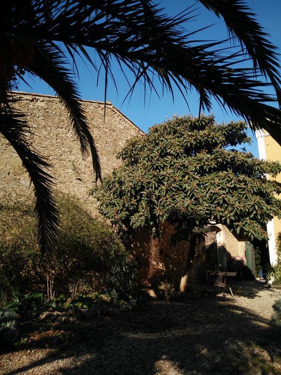 La Maison Des Palmiers Homps  Kültér fotó