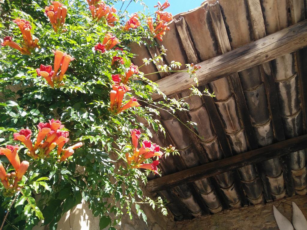 La Maison Des Palmiers Homps  Kültér fotó